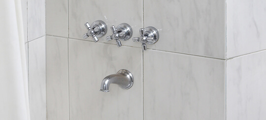 Two-Three Handle Tub/Shower Faucet